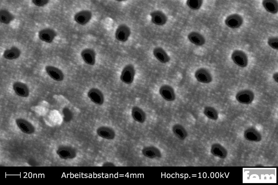 Eloxalpore Elektronenrastermikroskop