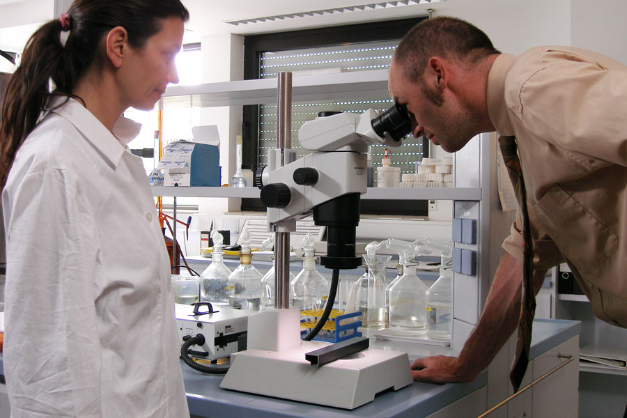 Alutecta Labor Alutecta Labor